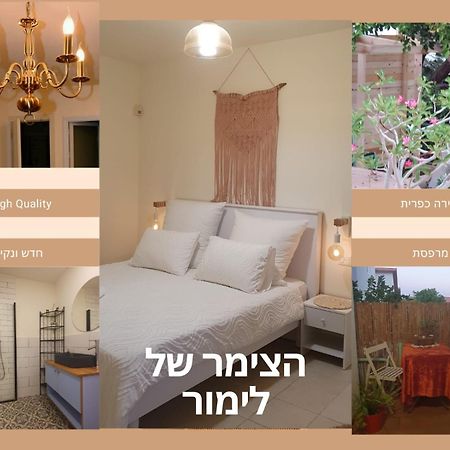גאלה צימר בטוב טעם إيلات المظهر الخارجي الصورة